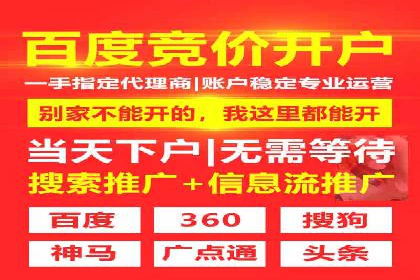 某电商平台的SEM推广策略及效果分析